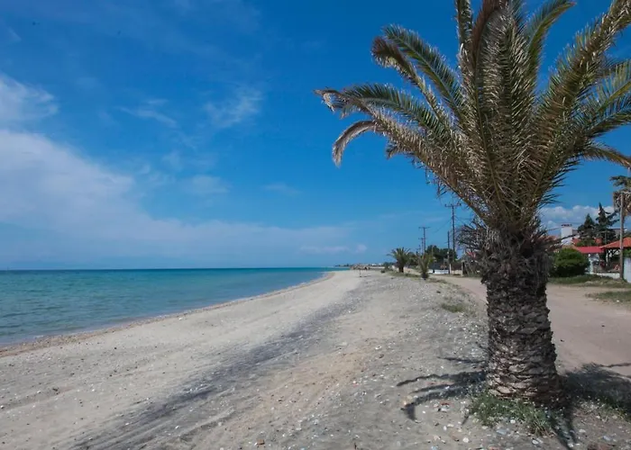 度假居 Marialena House